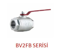BV2FB Serisi Hidrolik 2 Yollu Tam Geçişli Küresel Vanalar
