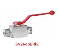 BV2M Serisi Hidrolik 2 Yollu Metrik Küresel Vanalar