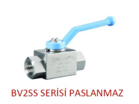 BV2SS Serisi Hidrolik Paslanmaz 2 Yollu Küresel Vanalar (AISS 316-L)