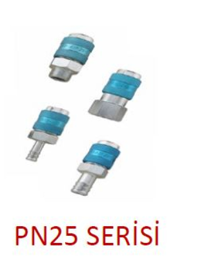 PN25 Serisi Pnömatik Otomatik Rekorlar