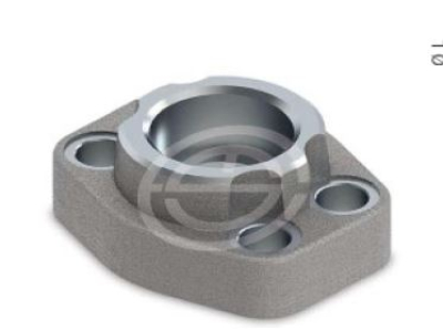 SAE 6000 PSI Düz Soket Kaynaklı Flanşlar(O-ringli)