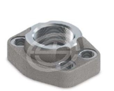 SAE6000 PSI Düz Soket Kaynaklı Karşı Flanşlar(O-ringsiz)